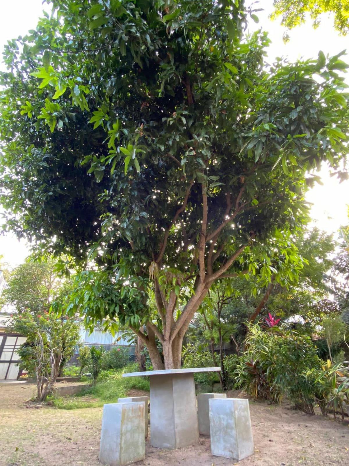 Sujatha Villa Paradise Tangalle Exterior foto
